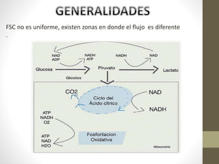 FSC no es uniforme, existen zonas en donde el flujo es diferente
.
 