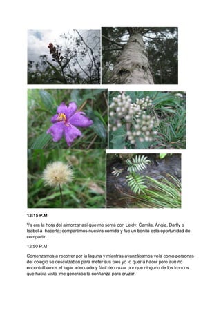 12:15 P.M
Ya era la hora del almorzar así que me senté con Leidy, Camila, Angie, Darlly e
Isabel a hacerlo; compartimos nuestra comida y fue un bonito esta oportunidad de
compartir.
12:50 P.M
Comenzamos a recorrer por la laguna y mientras avanzábamos veía como personas
del colegio se descalzaban para meter sus pies yo lo quería hacer pero aún no
encontrábamos el lugar adecuado y fácil de cruzar por que ninguno de los troncos
que había visto me generaba la confianza para cruzar.
 