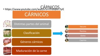 CÁRNICOS
• https://www.youtube.com/watch?v=FFKR8AF7yiE
CÁRNICOS
Distintas partes del animal
Clasificación
Géneros cárnicos
Maduración de la carne
Vacuno
Porcino
Ovino
Caprino
 