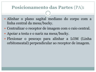 Posicionamento das Partes (PA):
 Alinhar o plano sagital mediano do corpo com a
linha central da mesa/bucky.
 Centralizar o receptor de imagem com o raio central.
 Apoiar a testa e o nariz na mesa/bucky.
 Flexionar o pescoço para alinhar a LOM (Linha
orbitomeatal) perpendicular ao receptor de imagem.
 