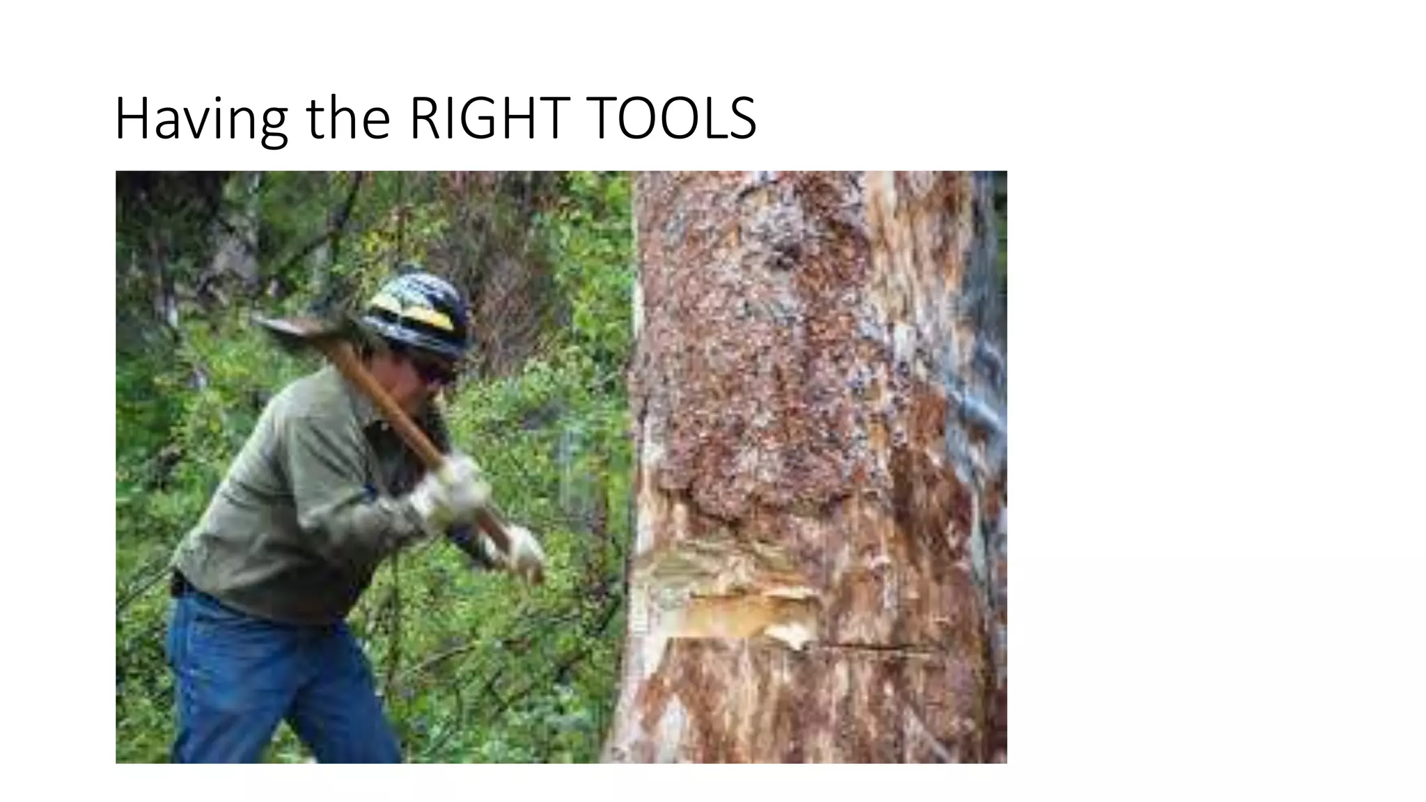 Having the RIGHT TOOLS
 