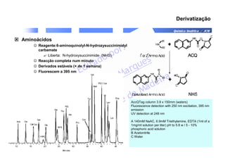 Química Analítica / JCM
Derivatização
 Aminoácidos
☺ Reagente:6-aminoquinolyl-N-hydrozysuccinimidyl
carbamate
 Liberta: N-hydroxysuccinimide (NHS)
☺ Reacção completa num minuto
☺ Derivados estáveis (+ de 1 semana)
☺ Fluorescem a 395 nm
AccQTag column 3.9 x 150mm (waters)
Fluorescence detection with 250 nm excitation, 395 nm
emission
UV detection at 248 nm
A 140mM NaAC, 6.9mM Triethylamine, EDTA (1ml of a
1mg/ml solution per liter) pH to 5.8 w / 5 - 10%
phosphoric acid solution
B Acetonitrile
C Water
 