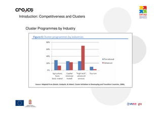 Introduction: Competitiveness and Clusters


    Cluster Programmes by Industry
 