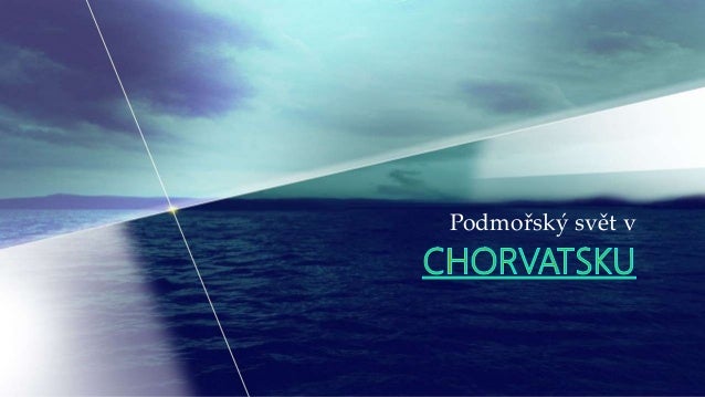 Podmořský svět v
 