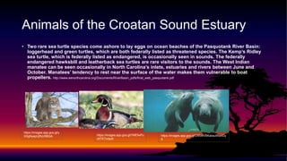 Croatan sound | PPTX