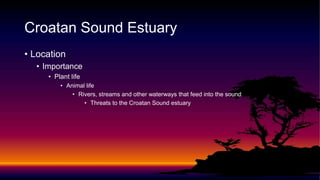 Croatan sound | PPTX