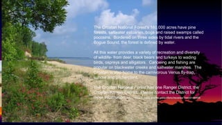 Croatan sound | PPTX