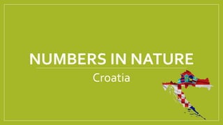 NUMBERS IN NATURE
Croatia
 