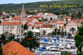 Milna na Braču (90 Km2)
 