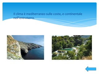 Il clima è mediterraneo sulle coste, e continentale
nell’entroterra.
 
