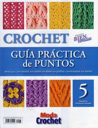 Crochet guia practica_de_puntos.n5