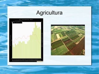Agricultura
 