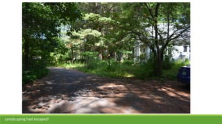 Landscaping had escaped!
 