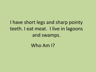 I have short legs and sharp pointy
teeth. I eat meat. I live in lagoons
and swamps.
Who Am I?

 