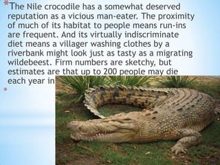 *The Nile crocodile has a somewhat deserved
    reputation as a vicious man-eater. The proximity
    of much of its habitat to people means run-ins
    are frequent. And its virtually indiscriminate
    diet means a villager washing clothes by a
    riverbank might look just as tasty as a migrating
    wildebeest. Firm numbers are sketchy, but
    estimates are that up to 200 people may die
    each year in the jaws of a Nile croc.
*
 