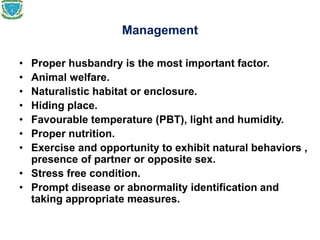 Management
• Proper husbandry is the most important factor.
• Animal welfare.
• Naturalistic habitat or enclosure.
• Hiding place.
• Favourable temperature (PBT), light and humidity.
• Proper nutrition.
• Exercise and opportunity to exhibit natural behaviors ,
presence of partner or opposite sex.
• Stress free condition.
• Prompt disease or abnormality identification and
taking appropriate measures.
 