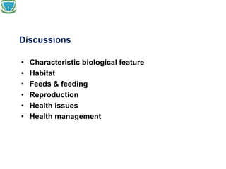Discussions
• Characteristic biological feature
• Habitat
• Feeds & feeding
• Reproduction
• Health issues
• Health management
 