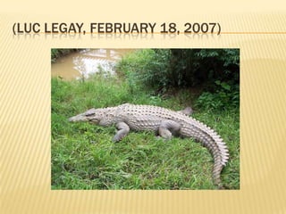 (LUC LEGAY, FEBRUARY 18, 2007)
 