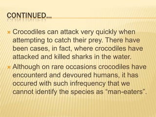 CONTINUED...

 Crocodiles can attack very quickly when
  attempting to catch their prey. There have
  been cases, in fact, where crocodiles have
  attacked and killed sharks in the water.
 Although on rare occasions crocodiles have
  encounterd and devoured humans, it has
  occured with such infrequency that we
  cannot identify the species as ―man-eaters‖.
 