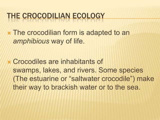 THE CROCODILIAN ECOLOGY

   The crocodilian form is adapted to an
    amphibious way of life.

   Crocodiles are inhabitants of
    swamps, lakes, and rivers. Some species
    (The estuarine or ―saltwater crocodile‖) make
    their way to brackish water or to the sea.
 