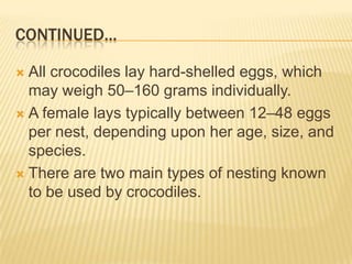 CONTINUED...

 All crocodiles lay hard-shelled eggs, which
  may weigh 50–160 grams individually.
 A female lays typically between 12–48 eggs
  per nest, depending upon her age, size, and
  species.
 There are two main types of nesting known
  to be used by crocodiles.
 