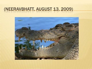 (NEERAVBHATT, AUGUST 13, 2009)
 