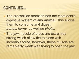 CONTINUED...

 The crocodilian stomach has the most acidic
  digestive system of any animal. This allows
  them to consume and digest
  bones, horns, as well as shells.
 The jaw muscle of crocs are extremley
  strong which allow the to close with
  incredible force, however, those muscle are
  remarkably weak wen trying to open the jaw.
 
