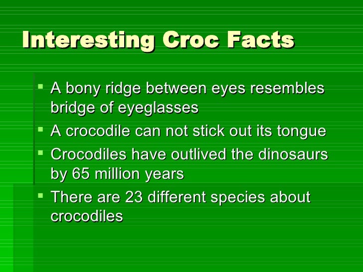 facts about crocs