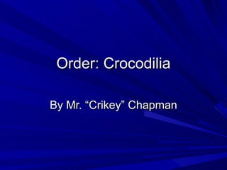 Order: Crocodilia

By Mr. “Crikey” Chapman
 