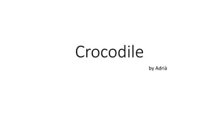 Crocodile
by Adrià
 