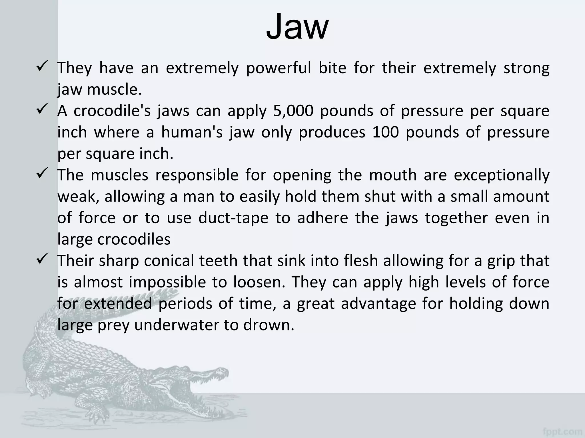 Crocodiles farming and importance | PPTX