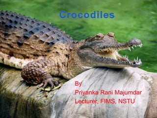 By
Priyanka Rani Majumdar
Lecturer, FIMS, NSTU
 