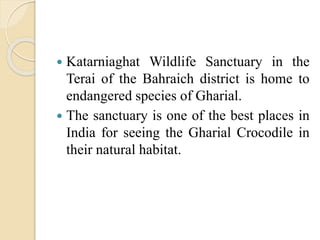  Katarniaghat Wildlife Sanctuary in the
Terai of the Bahraich district is home to
endangered species of Gharial.
 The sanctuary is one of the best places in
India for seeing the Gharial Crocodile in
their natural habitat.
 
