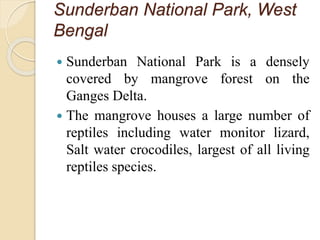 Sunderban National Park, West
Bengal
 Sunderban National Park is a densely
covered by mangrove forest on the
Ganges Delta.
 The mangrove houses a large number of
reptiles including water monitor lizard,
Salt water crocodiles, largest of all living
reptiles species.
 