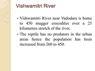 Vishwamitri River
 Vishwamitri River near Vadodara is home
to 450 mugger crocodiles over a 25
kilometres stretch of the river.
 The reptile has no predators in the urban
areas hence the population has been
increased from 260 to 450.
 