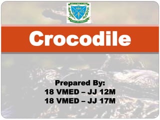 Prepared By:
18 VMED – JJ 12M
18 VMED – JJ 17M
Crocodile
 