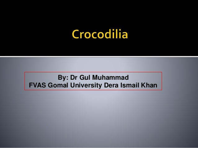 Gomal University Dikhan Sex Video - Crocodilia
