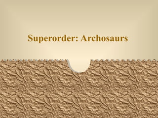 Superorder: Archosaurs
 