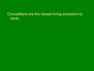Crocodilians are the closest living ancestors to
birds.
 