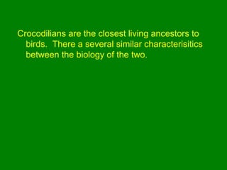 Crocodilians are the closest living ancestors to
birds. There a several similar characterisitics
between the biology of the two.
 