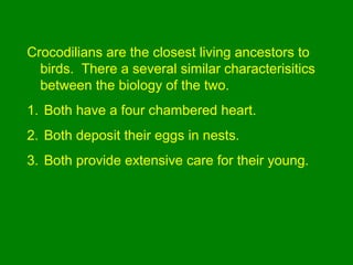 Crocodilians are the closest living ancestors to
birds. There a several similar characterisitics
between the biology of the two.
1. Both have a four chambered heart.
2. Both deposit their eggs in nests.
3. Both provide extensive care for their young.
 