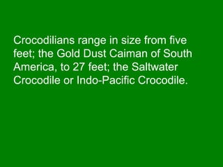 Crocodilians range in size from five
feet; the Gold Dust Caiman of South
America, to 27 feet; the Saltwater
Crocodile or Indo-Pacific Crocodile.
 