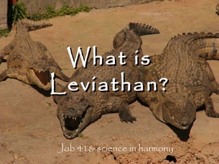 What is
Leviathan?
Job 41& science in harmony

 