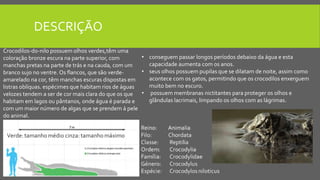 DESCRIÇÃO
Crocodilos-do-nilo possuem olhos verdes,têm uma
coloração bronze escura na parte superior, com
manchas pretas na parte de trás e na cauda, com um
branco sujo no ventre. Os flancos, que são verde-
amarelado na cor, têm manchas escuras dispostas em
listras oblíquas. espécimes que habitam rios de águas
velozes tendem a ser de cor mais clara do que os que
habitam em lagos ou pântanos, onde água é parada e
com um maior número de algas que se prendem á pele
do animal.
• conseguem passar longos períodos debaixo da água e esta
capacidade aumenta com os anos.
• seus olhos possuem pupilas que se dilatam de noite, assim como
acontece com os gatos, permitindo que os crocodilos enxerguem
muito bem no escuro.
• possuem membranas nictitantes para proteger os olhos e
glândulas lacrimais, limpando os olhos com as lágrimas.
 