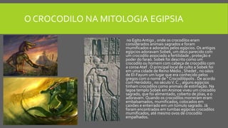 O CROCODILO NA MITOLOGIA EGIPSIA
no EgitoAntigo , onde os crocodilos eram
considerados animais sagrados e foram
mumificados e adorados pelos egípcios. Os antigos
egípcios adoravam Sobek, um deus parecido com
um crocodilo associado a fertilidade , proteção e
poder do faraó. Sobek foi descrito como um
crocodilo ou homem com cabeça de crocodilo com
a coroa Atef . O principal local de culto a Sobek foi
em uma cidade de Reino Médio , Shedet , no oásis
de El-Fayum um lugar que era conhecido pelos
gregos com o nome de " Crocodilópolis . De acordo
com Heródoto , no séculoV. C. , alguns egípcios
tinham crocodilos como animais de estimação. Na
lagoa templo Sobek em Arsinoe viveu um crocodilo
sagrado, que foi alimentado, coberto de jóias, e o
adoravam. Quando os crocodilos morreram eram
embalsamados, mumificados, colocados em
caixões e enterrado em um túmulo sagrado. Já
foram encontrados em tumbas egípcias crocodilos
mumificados, até mesmo ovos de crocodilo
empalhados.
 