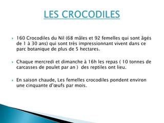    160 Crocodiles du Nil (68 mâles et 92 femelles qui sont âgés
    de 1 à 30 ans) qui sont très impressionnant vivent dans ce
    parc botanique de plus de 5 hectares.

   Chaque mercredi et dimanche à 16h les repas ( 10 tonnes de
    carcasses de poulet par an ) des reptiles ont lieu.

   En saison chaude, Les femelles crocodiles pondent environ
    une cinquante d’œufs par mois.
 