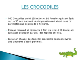 160 Crocodiles du Nil (68 mâles et 92 femelles qui sont âgés
de 1 à 30 ans) qui sont très impressionnant vivent dans ce
parc botanique de plus de 5 hectares.
 Chaque mercredi et dimanche à 16h les repas ( 10 tonnes de
carcasses de poulet par an ) des reptiles ont lieu.
 En saison chaude, Les femelles crocodiles pondent environ
une cinquante d’œufs par mois.
 