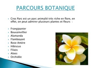  Croc Parc est un parc animalié très riche en flore, en
effet, on peut admirer plusieurs plantes et fleurs :
 Frangipanier
 Bouvainvillier
 Alamanda
 Flamboyant
 Rose Amère
 Hibiscus
 Filaos
 Aloes
 Orchidée
 