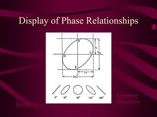 Display of Phase Relationships
Return
Computer
Simulation