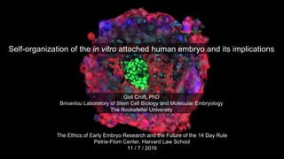 Self-organization of the in vitro attached human embryo and its implications
Gist Croft, PhD
Brivanlou Laboratory of Stem Cell Biology and Molecular Embryology
The Rockefeller University
The Ethics of Early Embryo Research and the Future of the 14 Day Rule
Petrie-Flom Center, Harvard Law School
11 / 7 / 2016
 